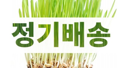 냥이 행복 듬뿍! 뮤토캣그라스 후기와 꿀팁 대방출🎁
